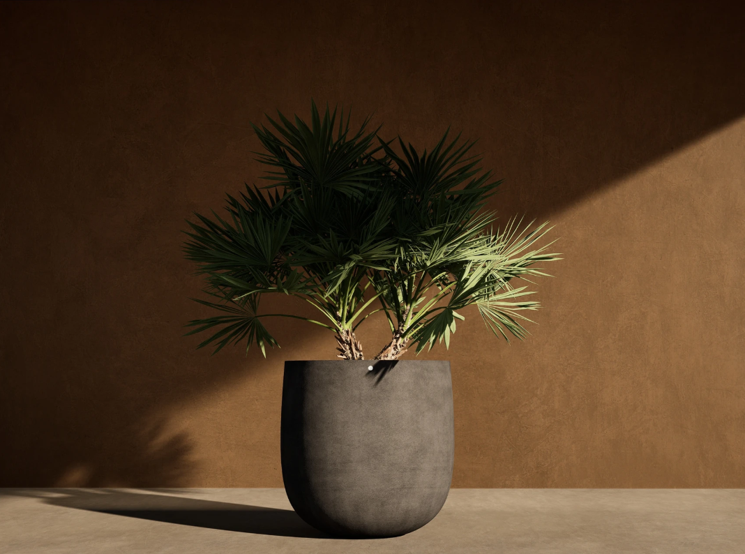 Mondo Jardinières Cosapots