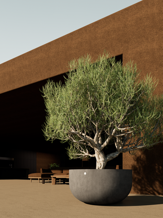 Jardinière Roco pour Terrasse et Jardin